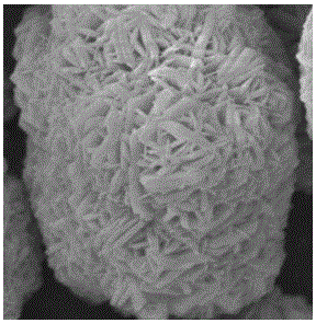 Ternary precursor material with internally dense and externally loose structure primary particle bulk density, anode material and preparation method thereof