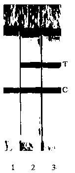 Novel isothermal loop-mediated yersinia pestis nucleic acid mark detection reagent