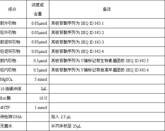 Novel isothermal loop-mediated yersinia pestis nucleic acid mark detection reagent