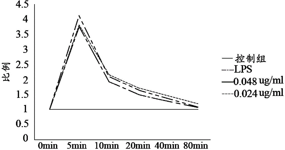 Application of antrodia camphorata compound in preparation of drug for treating kidney diseases