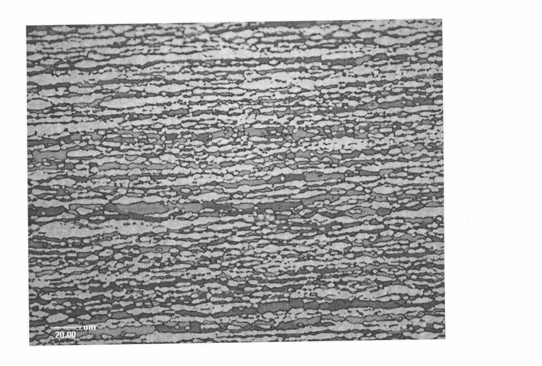 Duplex stainless steel and manufacturing method thereof