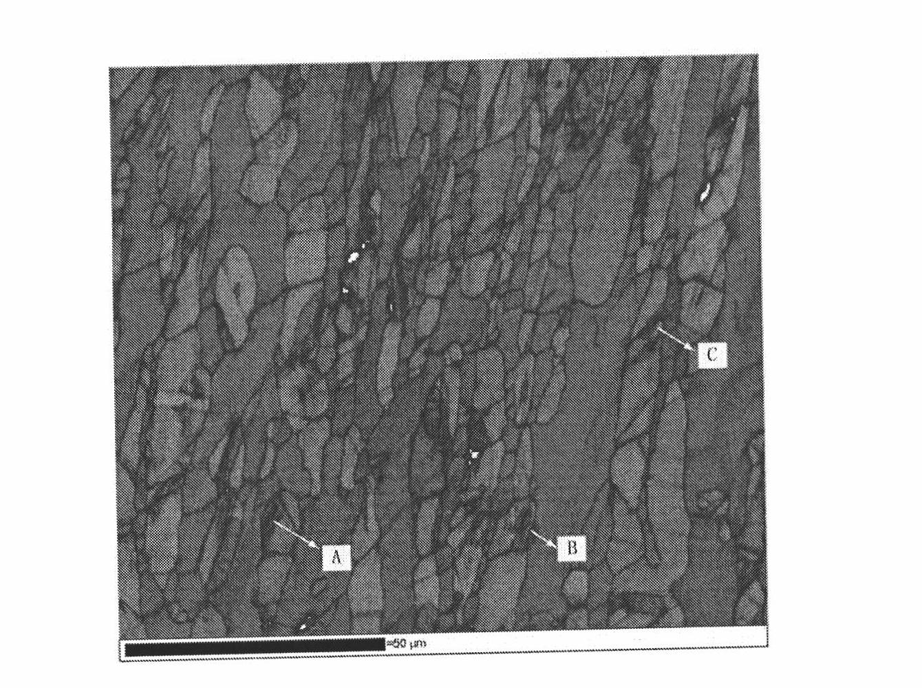 Duplex stainless steel and manufacturing method thereof