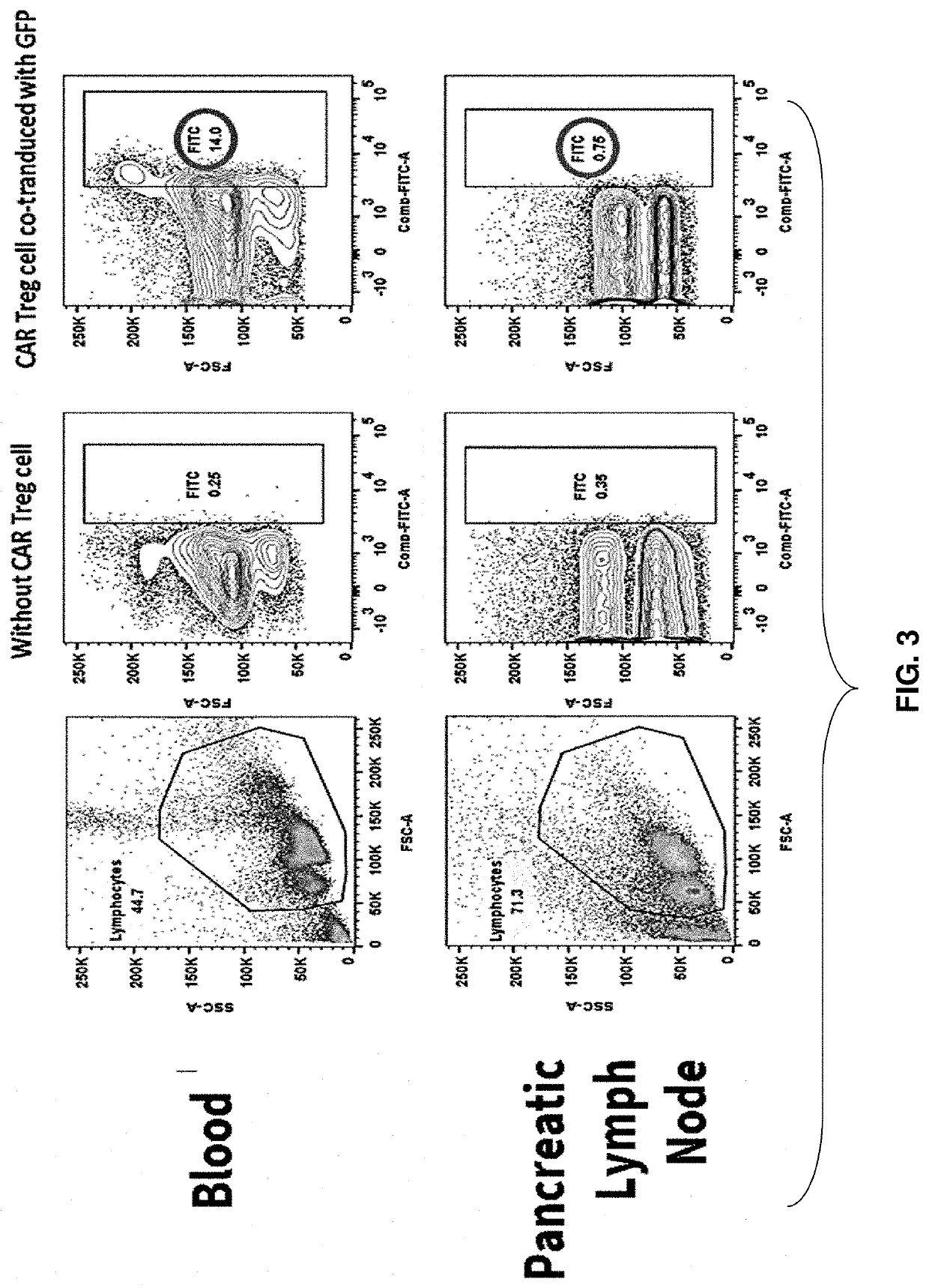 Immunosuppressive antigen-specific chimeric antigen receptor treg cells for prevention and/or treatment of autoimmune and alloimmune disorders