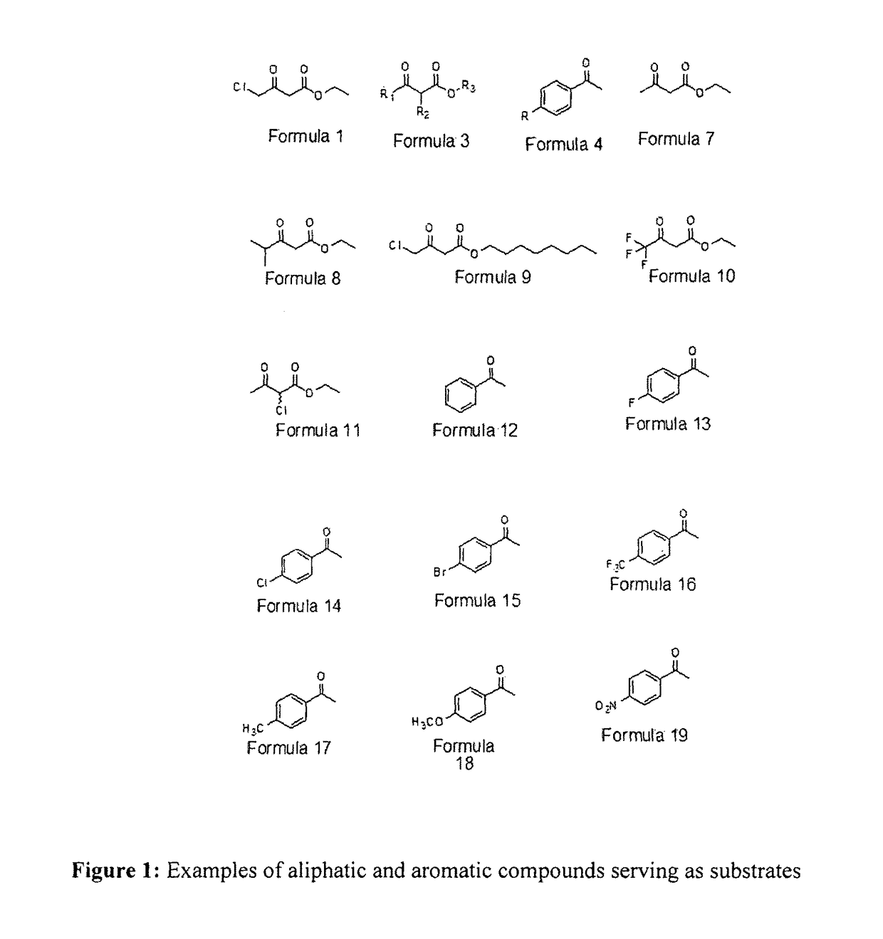 Designer cells for enantioselective reduction of ketones and use thereof in efficient production of enantioenriched alcohols