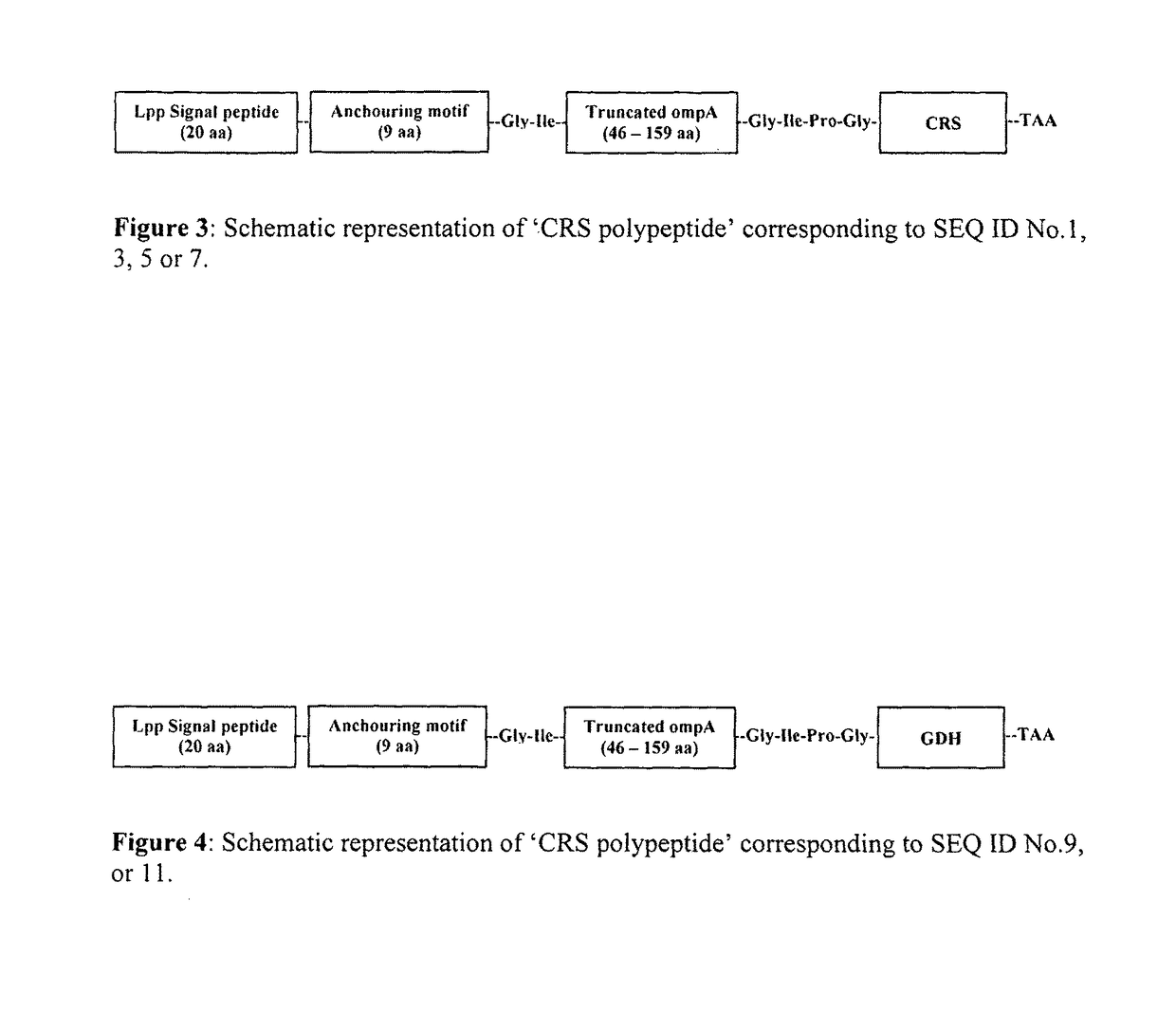 Designer cells for enantioselective reduction of ketones and use thereof in efficient production of enantioenriched alcohols