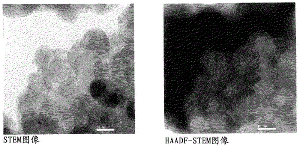 Surface coated particles and use of same