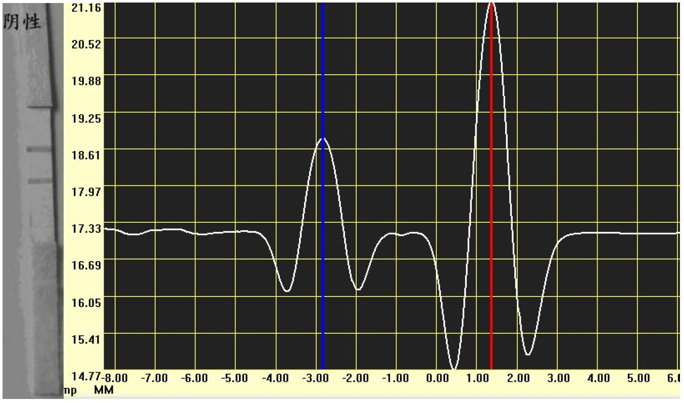 Gold magnetic particle labeled chromatography test strip for detecting aflatoxin