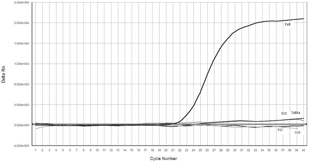 Multichannel fluorescent PCR detection kit for congenital deafness gene