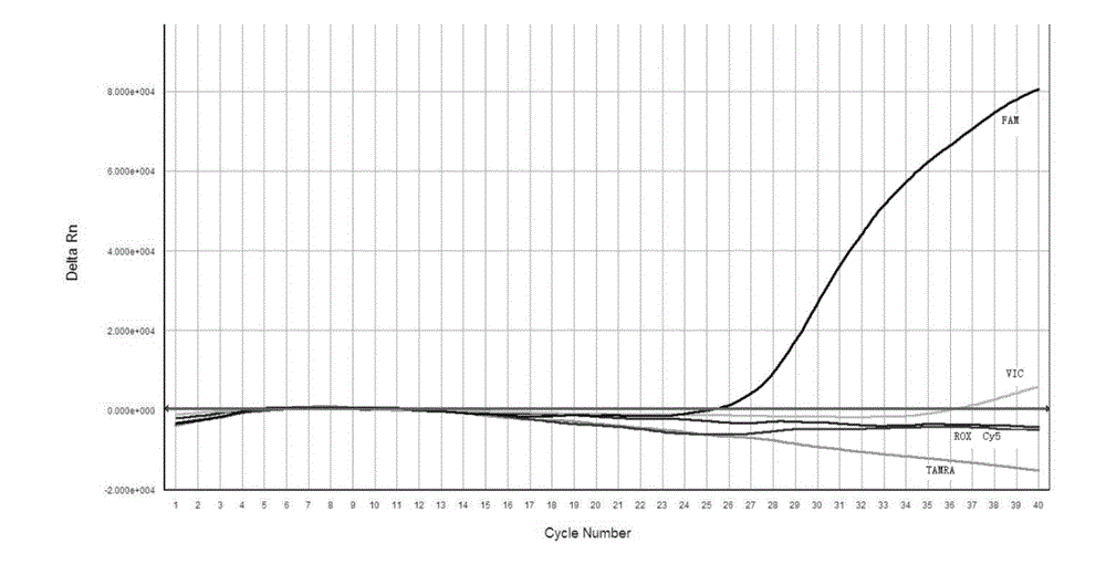 Multichannel fluorescent PCR detection kit for congenital deafness gene