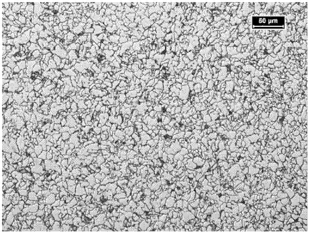 Manufacturing method of thin-strip continuous casting low-carbon micro-alloy steel strip