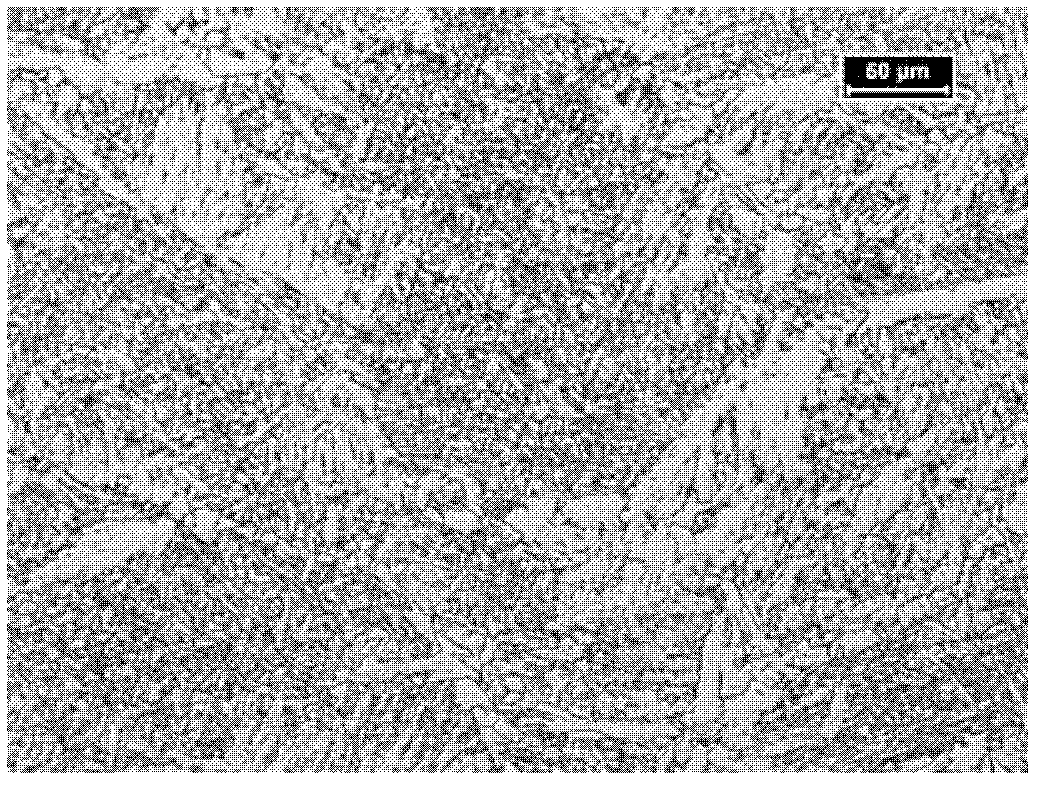 Manufacturing method of thin-strip continuous casting low-carbon micro-alloy steel strip