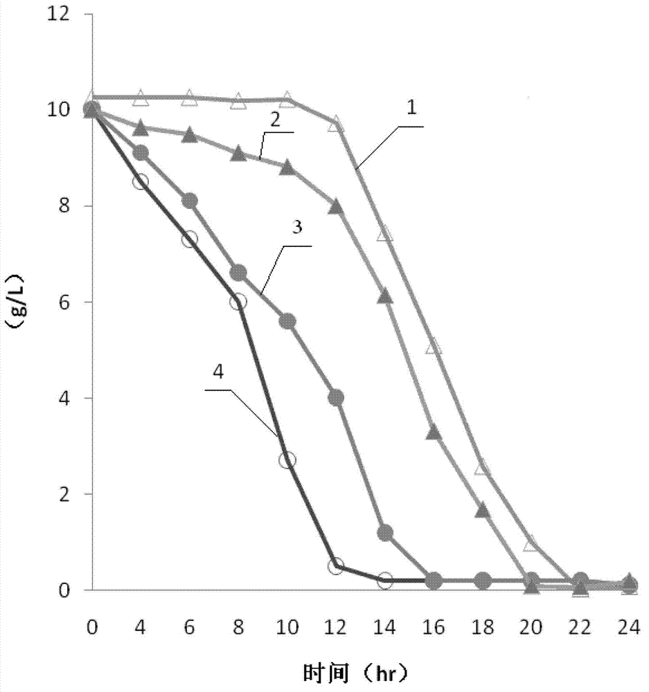 Bacterium for fermenting L-tryptophan from mixed saccharum and fermentation method thereof