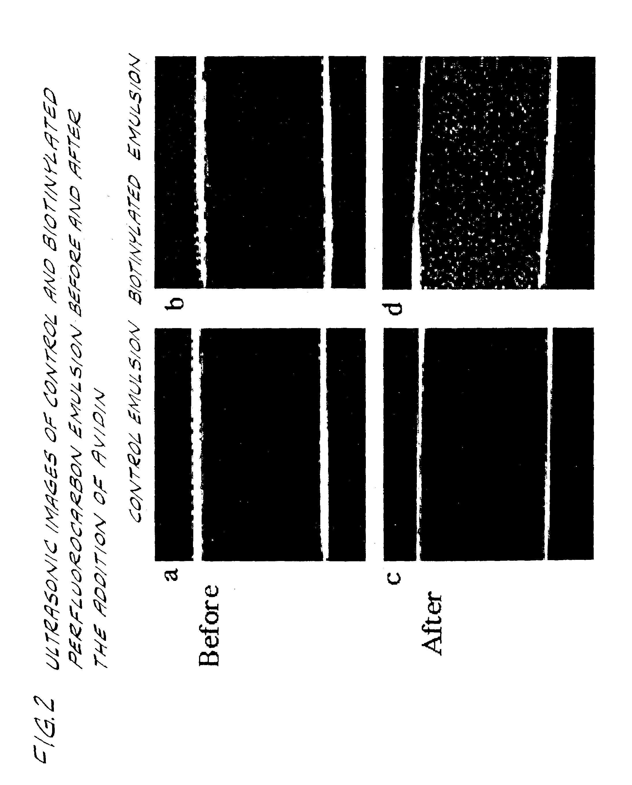 Methods for targeted drug delivery