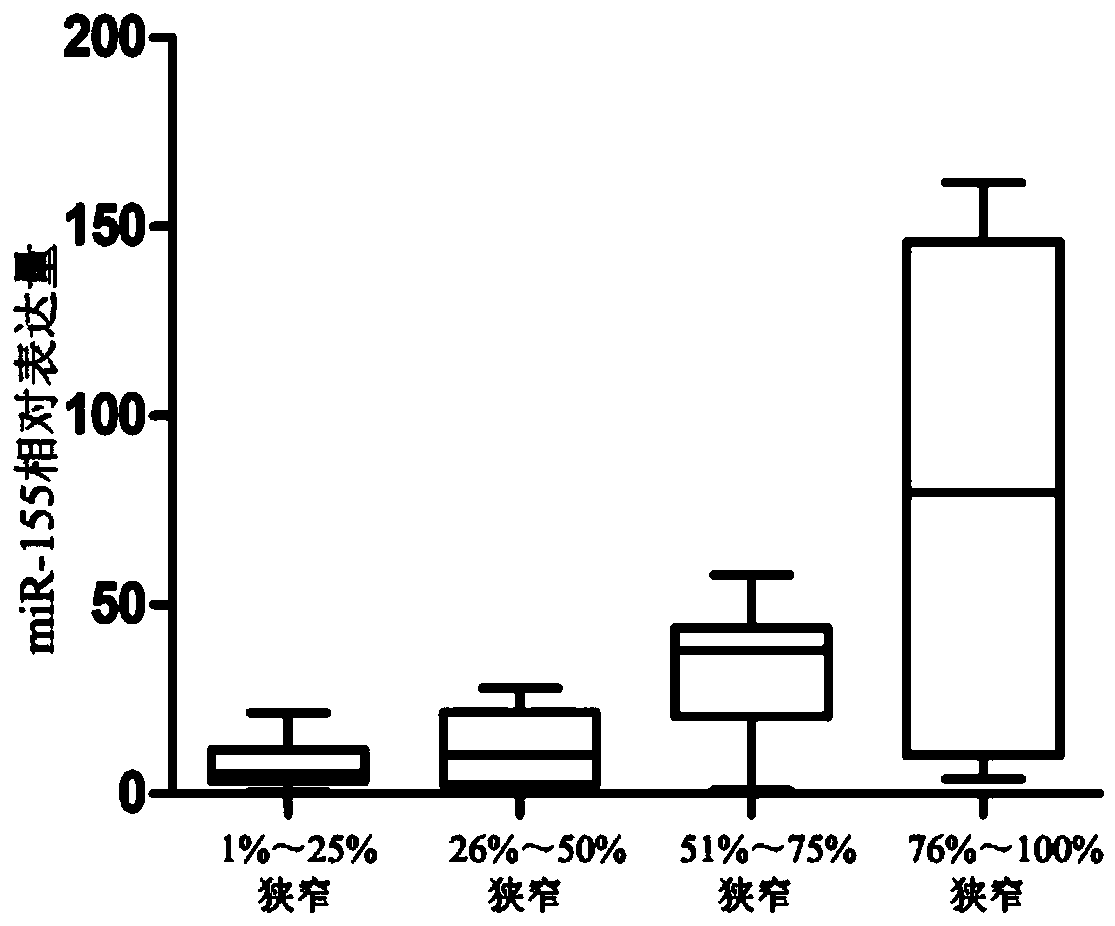 MiRNA detection kit and application thereof in diagnosis of degree of coronary stenosis