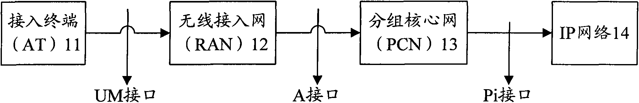 System for realizing wireless video conference and method