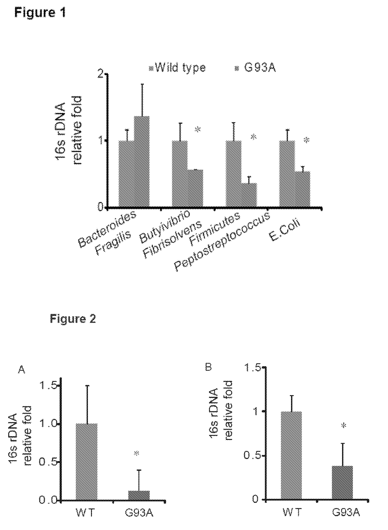 Biomarkers for Risk Assessment, Diagnosis and Target Microbiome and Intestinal Homeostasis for Prevention and Treatment of Amyotrophic Lateral Sclerosis