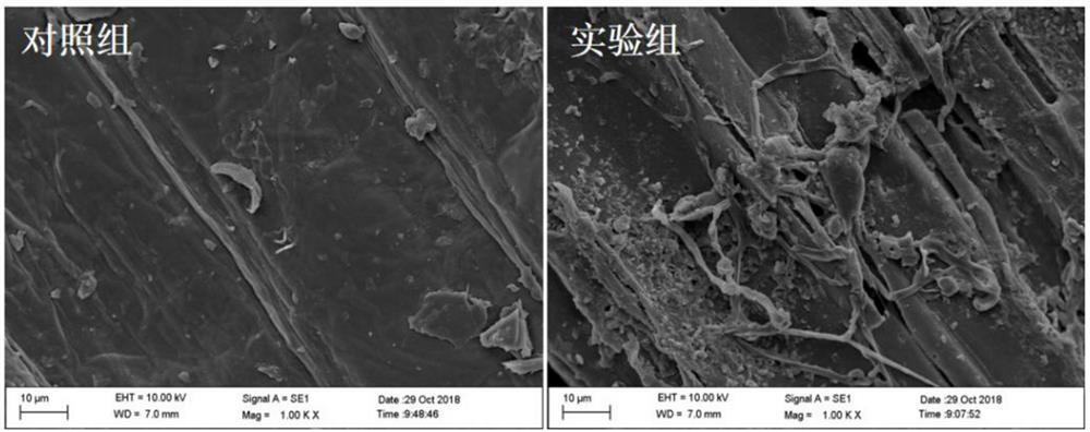 A method for microbial pretreatment to promote composting of livestock and poultry manure