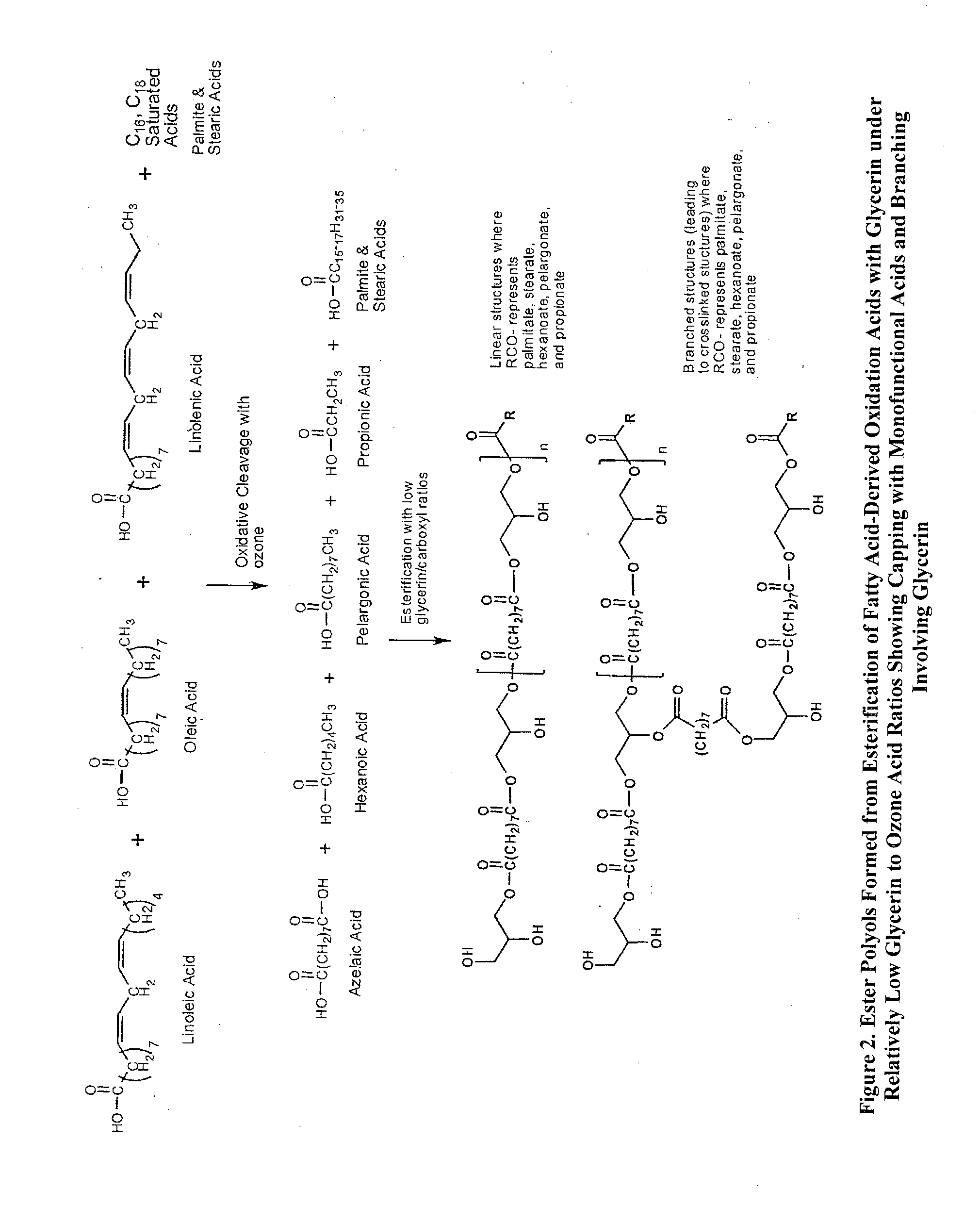 Composition of matter polyols for polyurethane applications