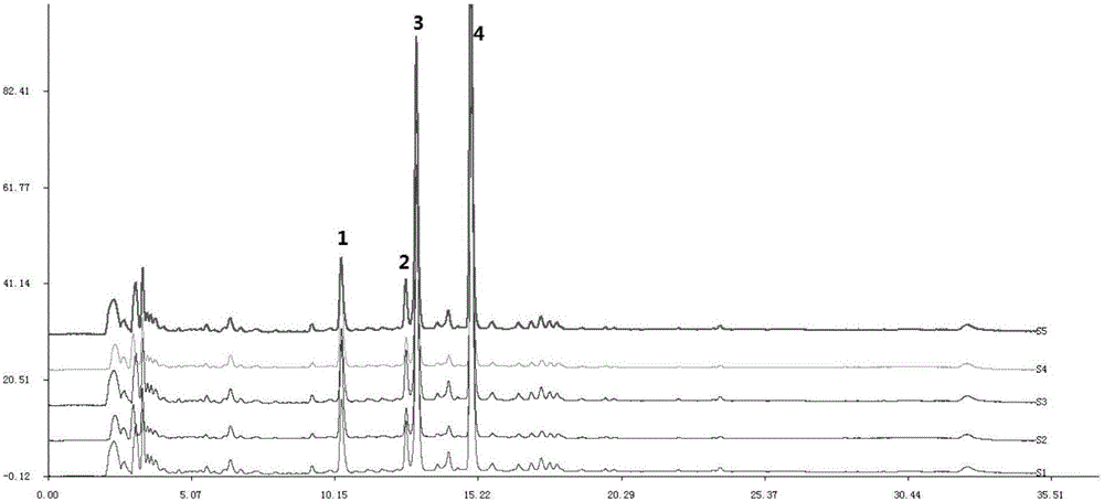 Penthorum chinense pursh extract and preparing method and application thereof