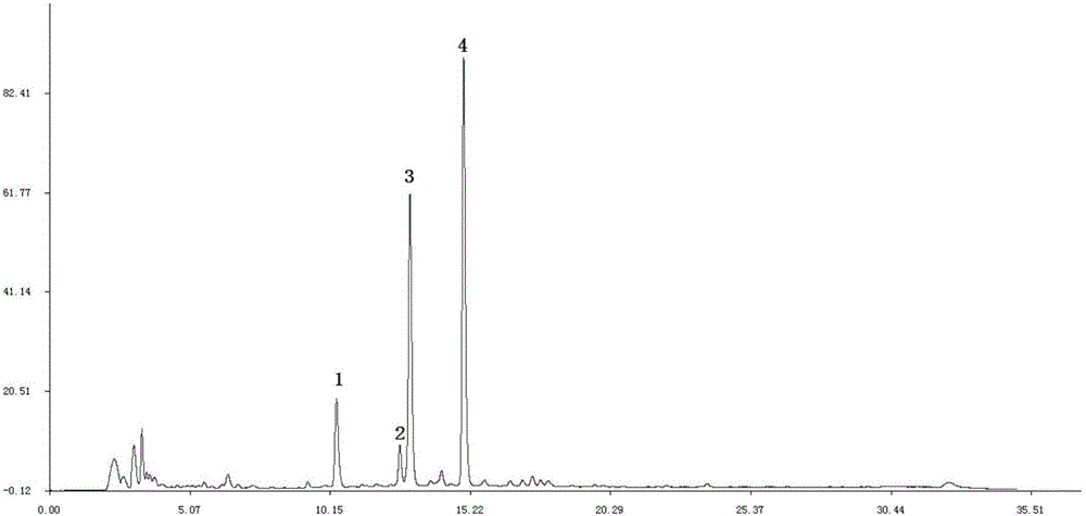 Penthorum chinense pursh extract and preparing method and application thereof