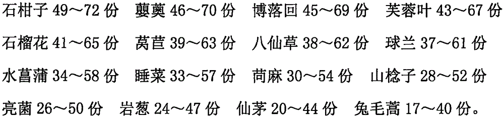 Traditional Chinese medicine preparation for treating otitis media and preparation method