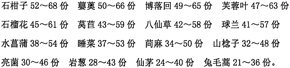 Traditional Chinese medicine preparation for treating otitis media and preparation method