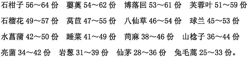 Traditional Chinese medicine preparation for treating otitis media and preparation method