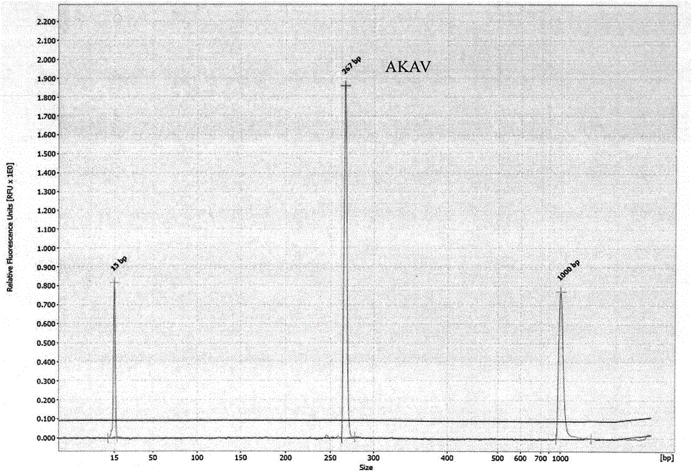 GeXP rapid multi-detection primer for detecting akabane viruses, foot and mouth disease viruses and blue tongue viruses and detecting method