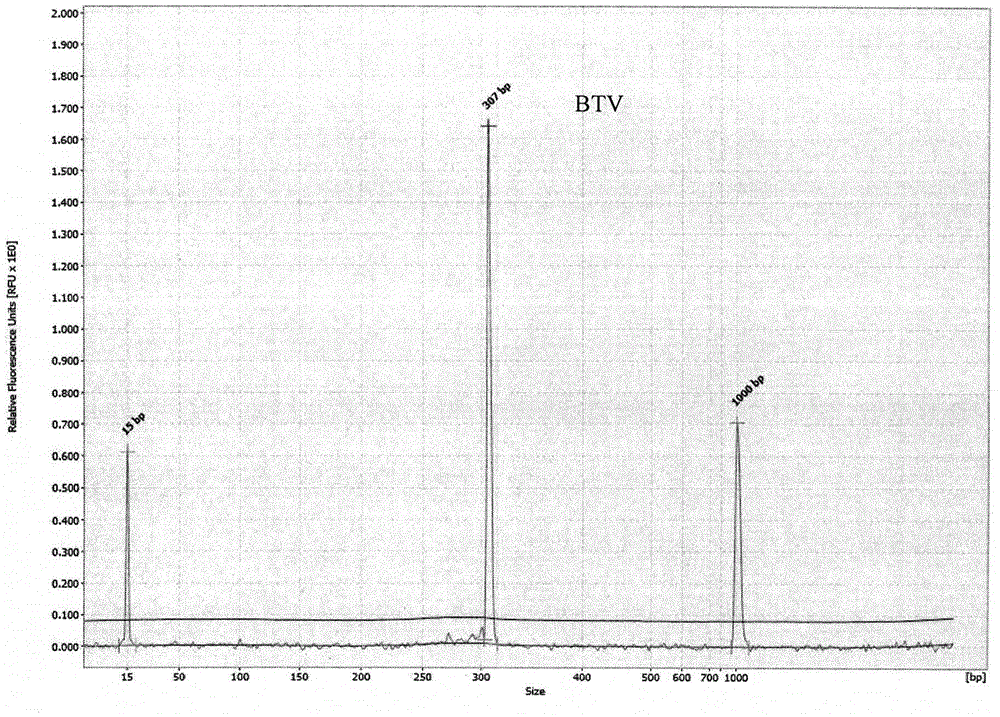 GeXP rapid multi-detection primer for detecting akabane viruses, foot and mouth disease viruses and blue tongue viruses and detecting method