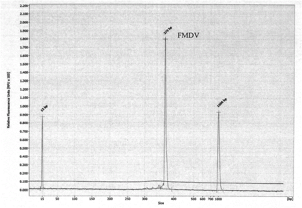 GeXP rapid multi-detection primer for detecting akabane viruses, foot and mouth disease viruses and blue tongue viruses and detecting method