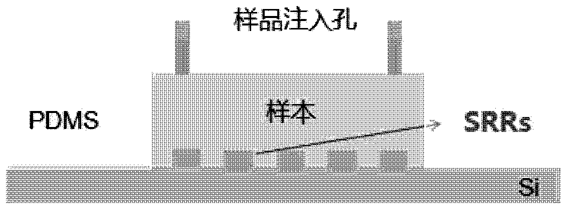 Preparation method of biomolecule terahertz sensor chip of universal nano-scale fluid and application thereof