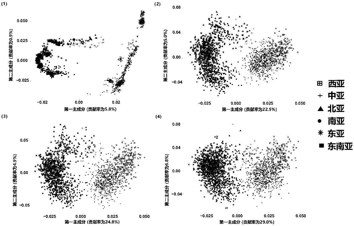 SNP marker combination for deducing crowds in different geographic areas of Asia