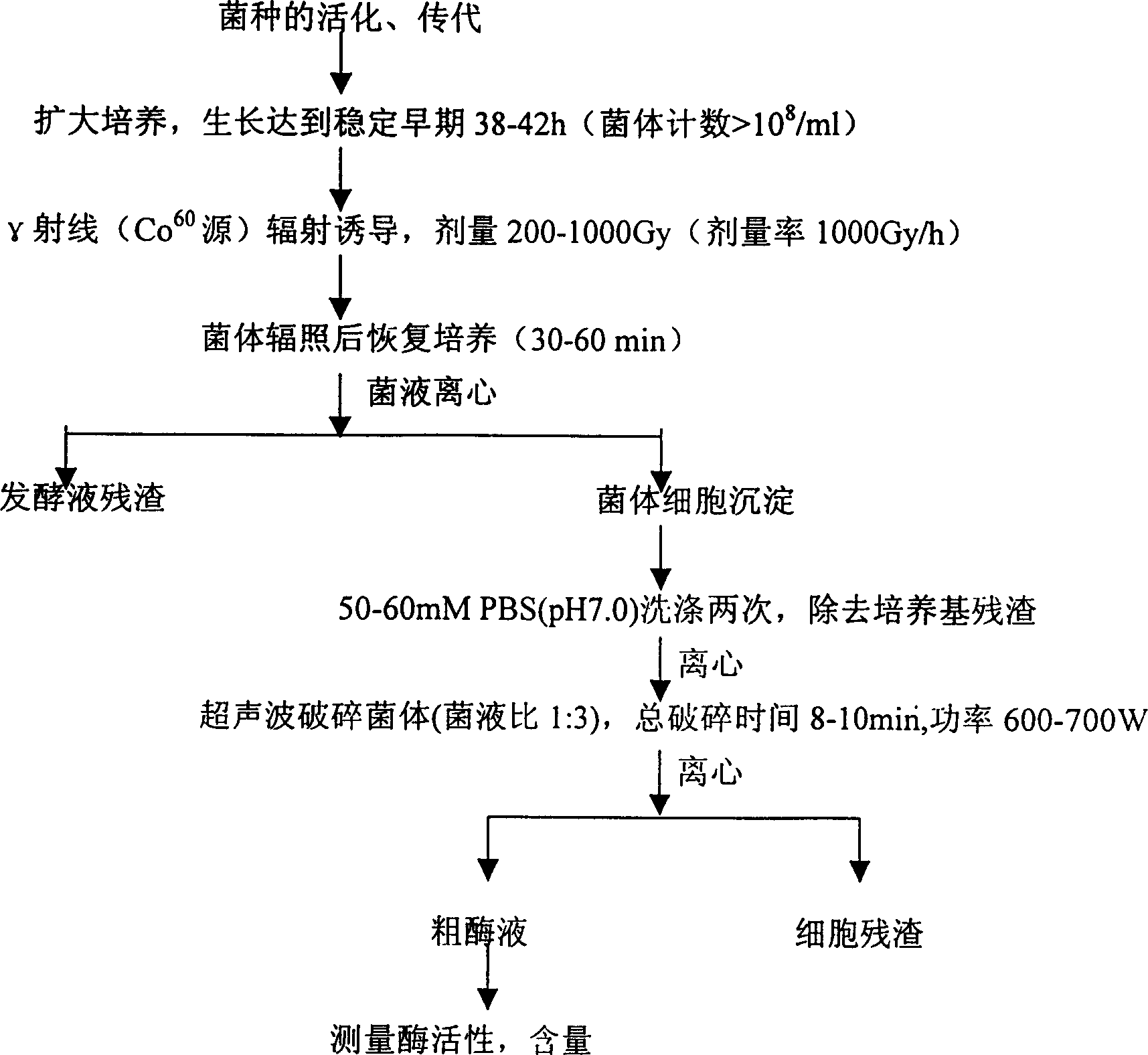 Method for increasing yield of superoxide dismutase of radioresistant coccus by radiation induction