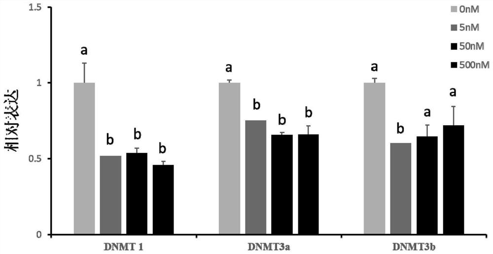 A cloned embryo treatment liquid, its use method and the application of the treatment liquid