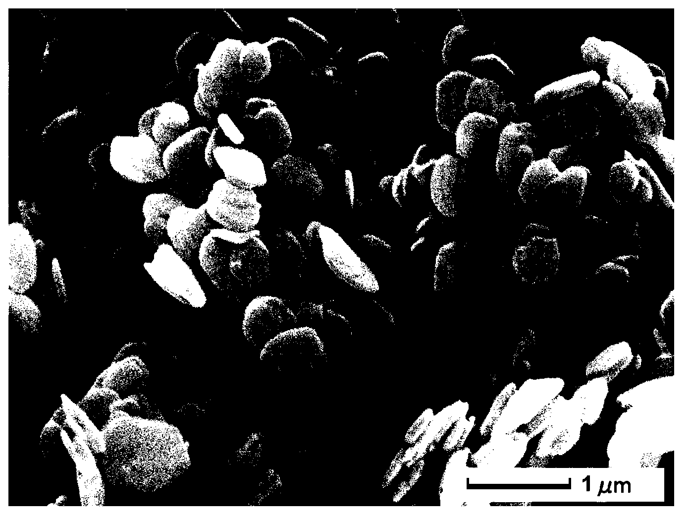 Method for preparing low-specific surface area magnesium hydroxide flame retardant by using microchannel reactor