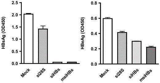 Sequence of hepatitis B virus (HBV) specific microRNA like siRNA (msiRNA) and application thereof