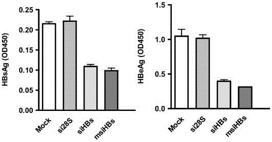 Sequence of hepatitis B virus (HBV) specific microRNA like siRNA (msiRNA) and application thereof