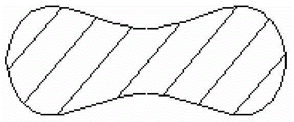 Special-shaped glass fiber and preparation method thereof