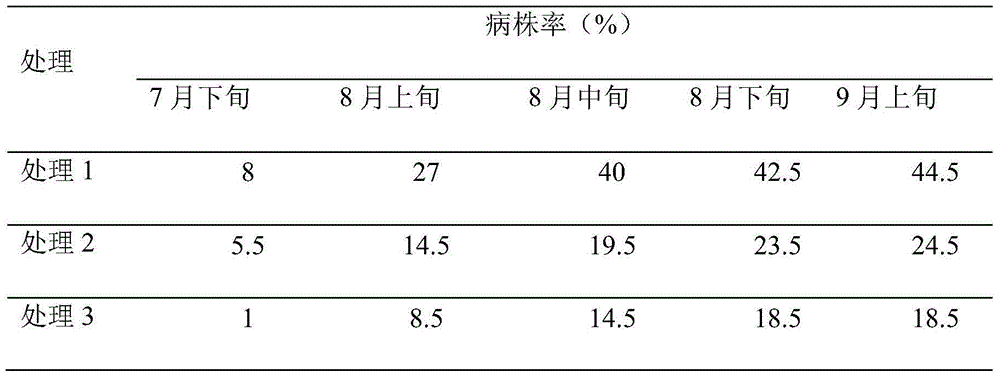 Pesticide fertilizer for controlling soft rot of Amorphophallus konjac and preparation method thereof