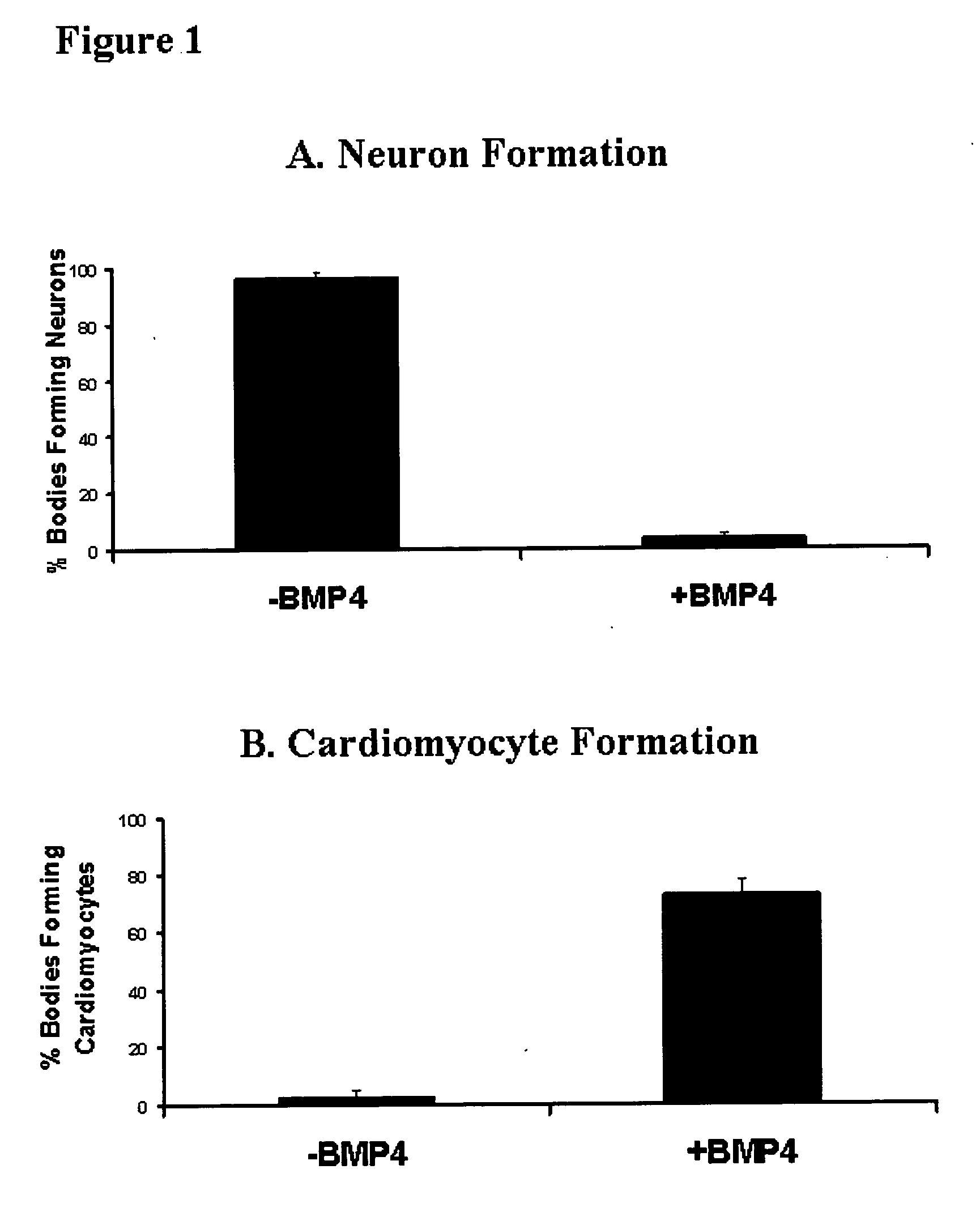 Method for the preparation of cells of mesodermal lineage