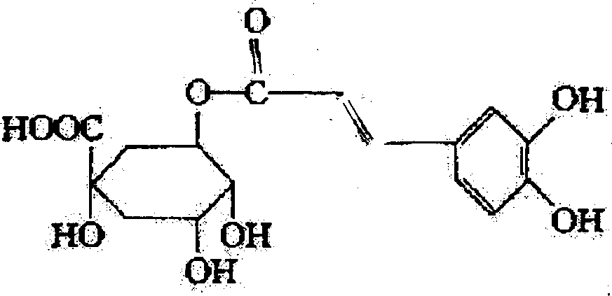 Chlorogenic acid extracting and purifying process from sunflower seed dregs