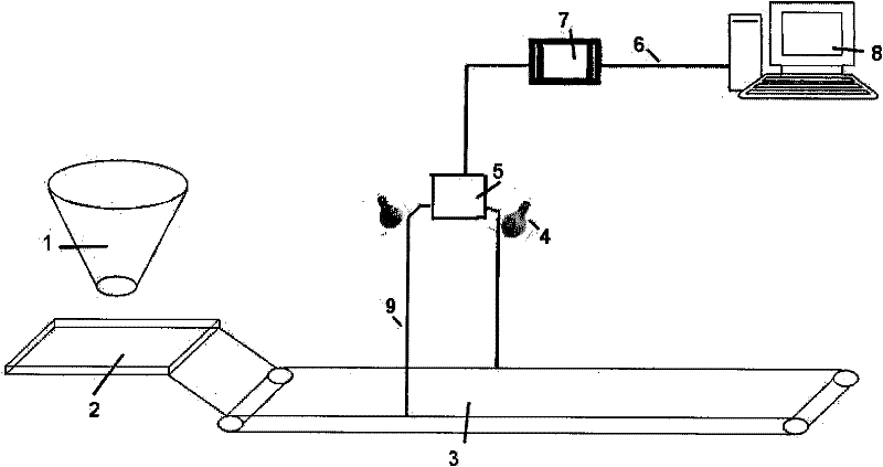 Online measurement method and device of dimensions of massive agricultural products based on machine vision