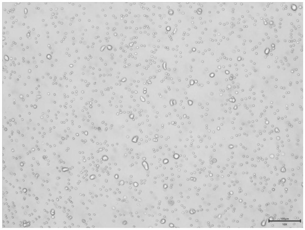 Method for culturing gastric cancer solid tumor primary cells