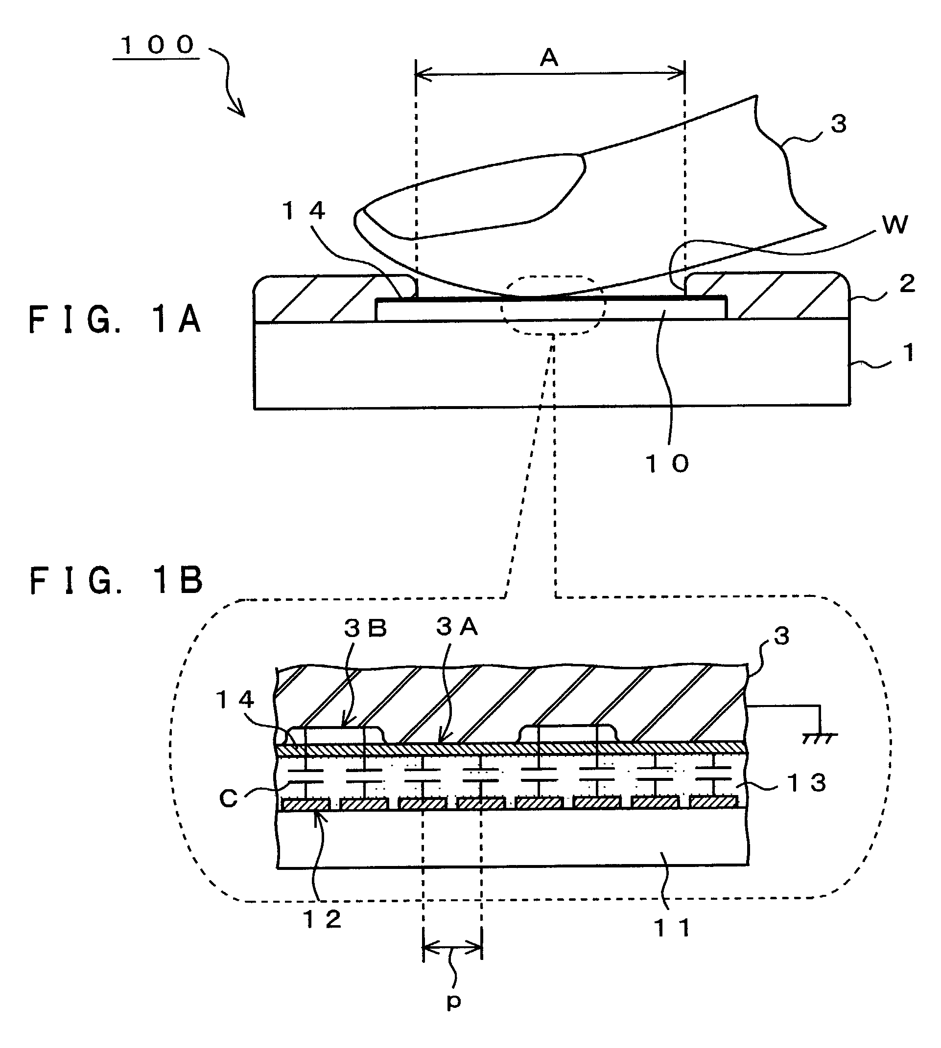 Fingerprint detection device and method of its manufacture, and apparatus for forming a protective film