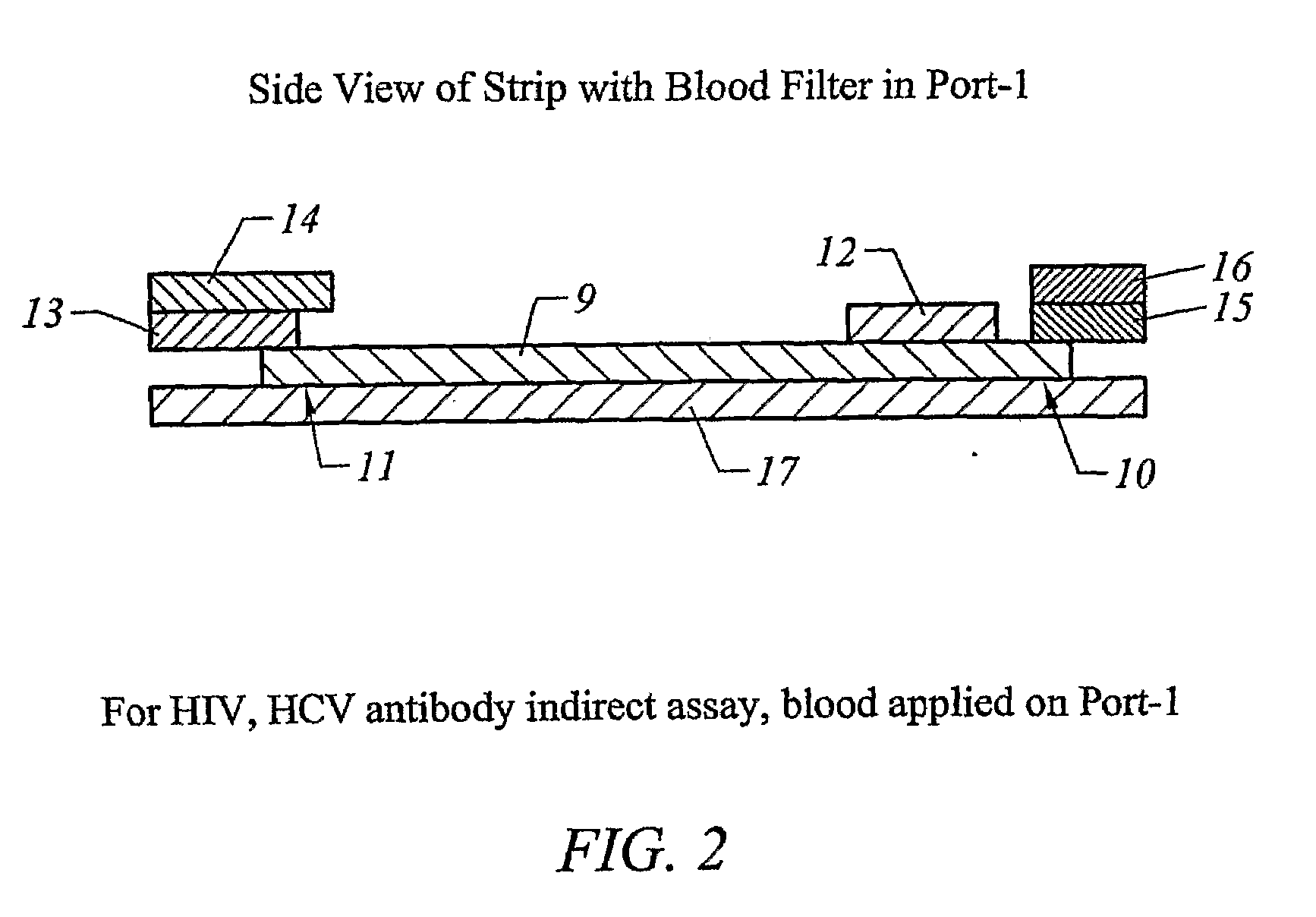 Lateral flow system and assay