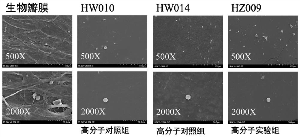 Application of hydrogenated styrene thermoplastic elastomers in preparation of artificial heart valves