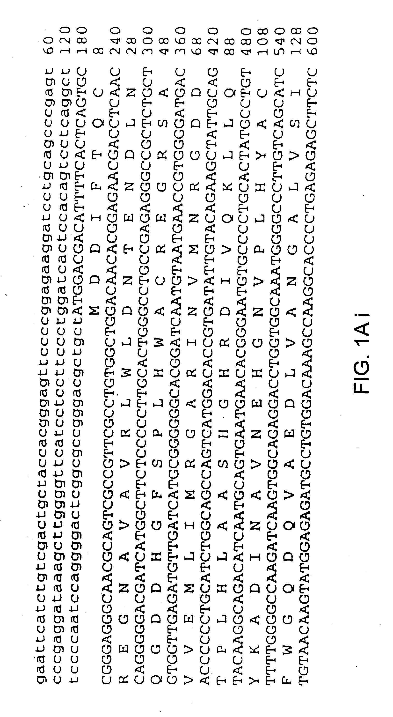 Integrin-linked kinase and its uses