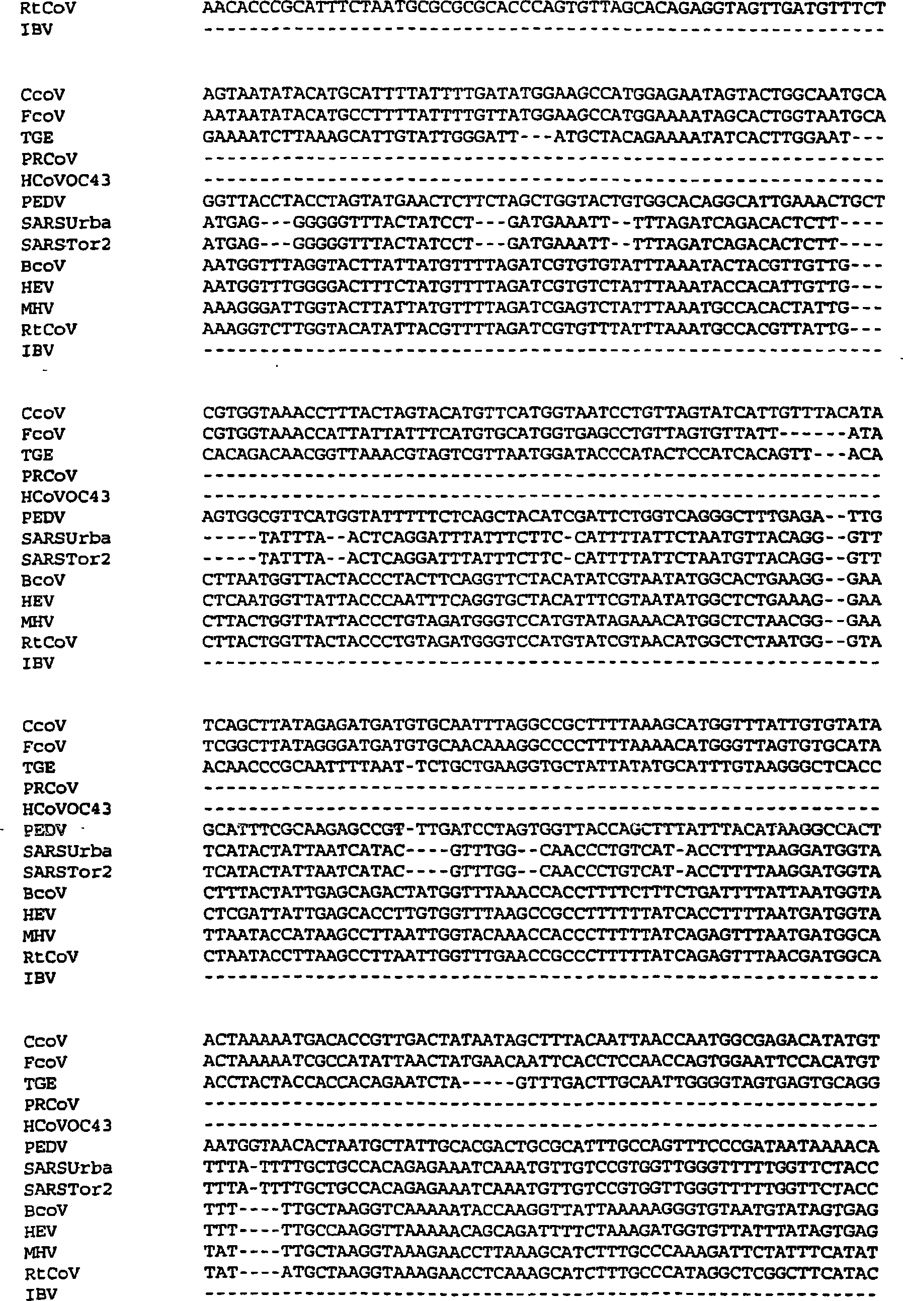 Multi-allelic molecular detection of SARS-associated coronavirus