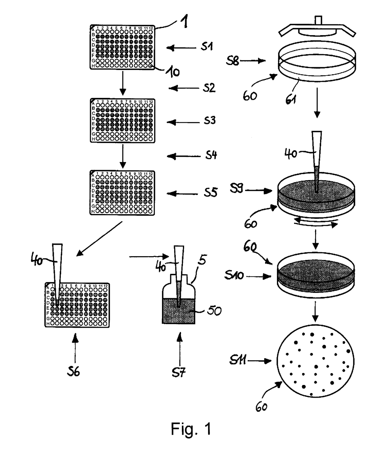 Process and apparatus for testing substances for potential carcinogenicity