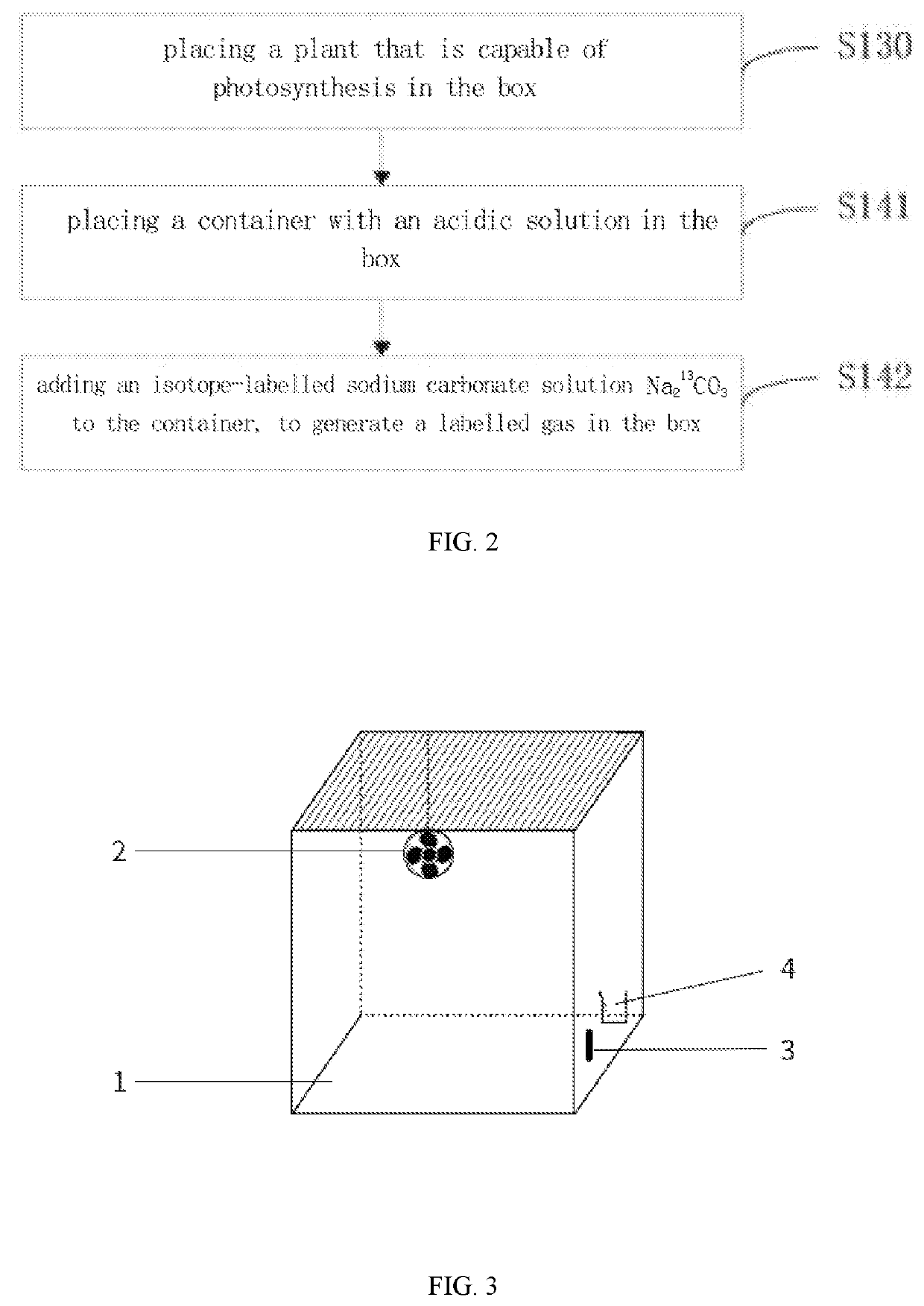 Method for preparing 13c labelled plant and method for preparing 13c labelled biochar